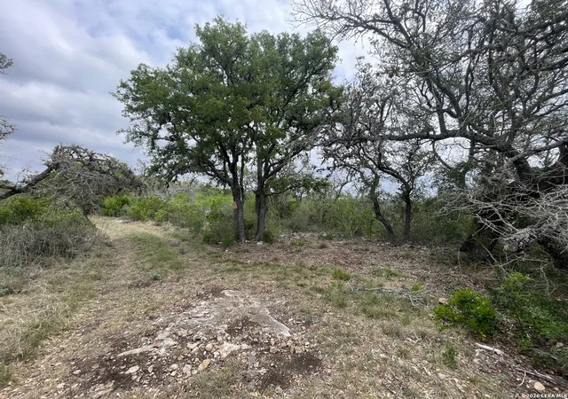 3rd image of 0000 Private Road 2410, Hondo, TX 78861 | MLS# 1953677