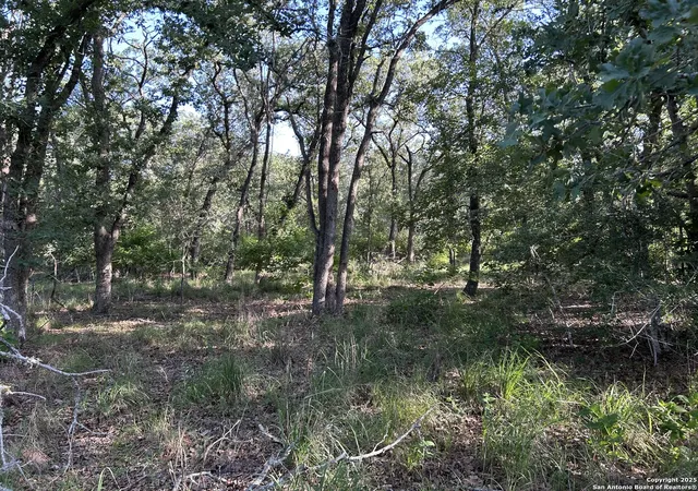 3rd image of 175 Smith, La Vernia, TX 78121 | MLS# 1953882