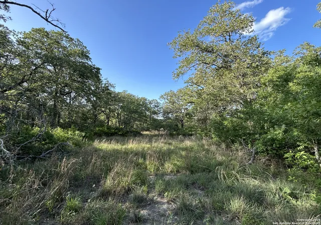 1st image of 175 Smith, La Vernia, TX 78121 | MLS# 1953882