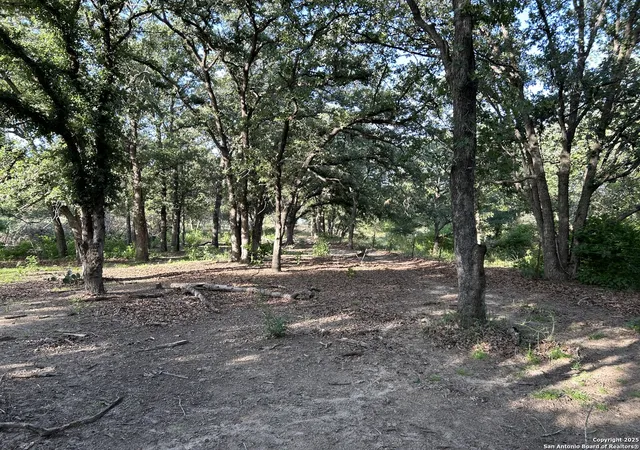 4th image of 175 Smith, La Vernia, TX 78121 | MLS# 1953882