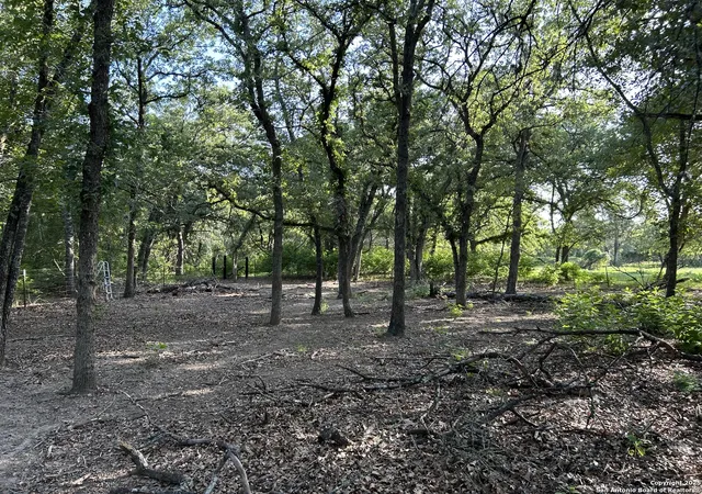 5th image of 175 Smith, La Vernia, TX 78121 | MLS# 1953882