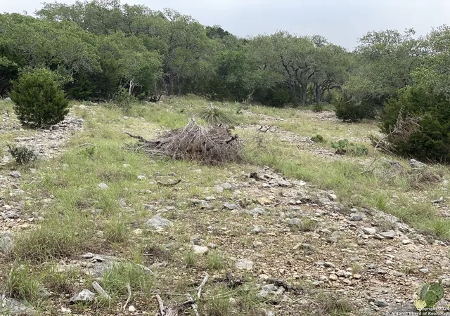 Photo 3 of Land for sale at 3726 Morris Lynn, San Antonio, TX 78261 | MLS# 1954280 | Listing updated on 2026-09-04