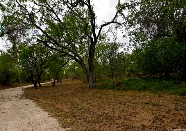 Photo 3 of Land for sale at 101 Alfredo, Floresville, TX 78114 | MLS# 1955027 | Listing updated on 2026-06-22