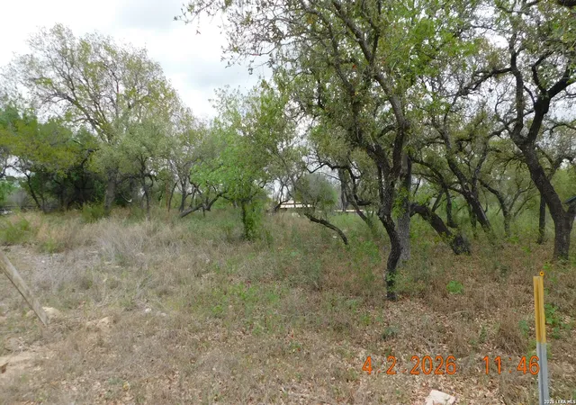 4th image of 000 N State Hwy 16, Poteet, TX 78065 | MLS# 1955167