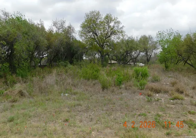 6th image of 000 N State Hwy 16, Poteet, TX 78065 | MLS# 1955167