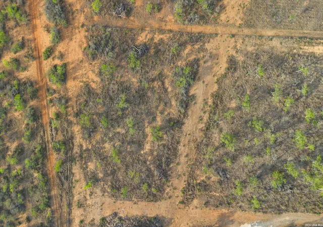 Photo 4 of Land for sale at 2161 County Road 124, Floresville, TX 78114 | MLS# 1955631 | Listing updated on 2026-09-08