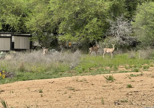 Photo 3 of Land for sale at 153 W Stonecastle, Granite Shoals, TX 78654 | MLS# 1955651 | Listing updated on 2026-04-18