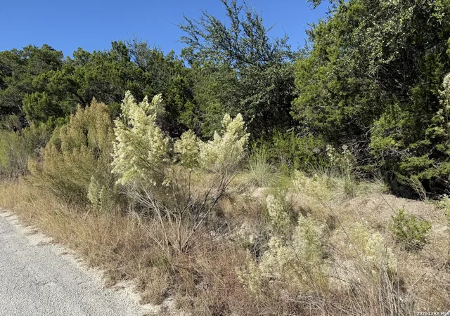 2nd image of Lot 37 Golf Course Dr E, Spring Branch, TX 78070 | MLS# 1955670