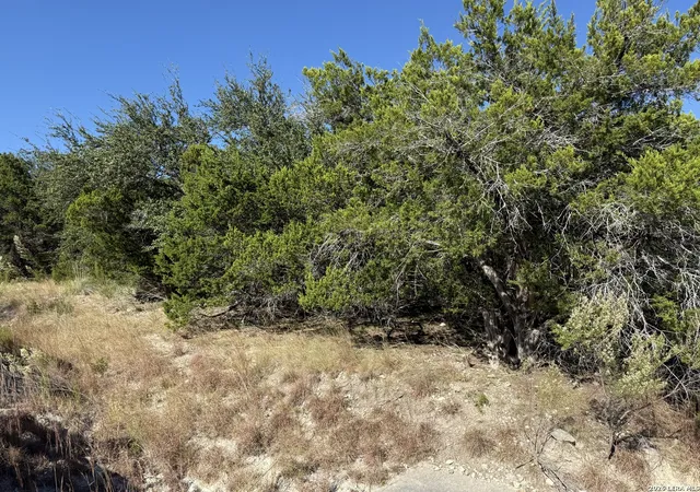 3rd image of Lot 37 Golf Course Dr E, Spring Branch, TX 78070 | MLS# 1955670