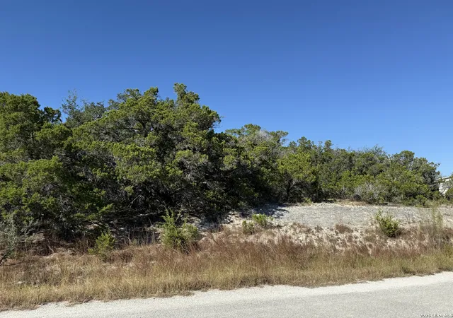 4th image of Lot 37 Golf Course Dr E, Spring Branch, TX 78070 | MLS# 1955670