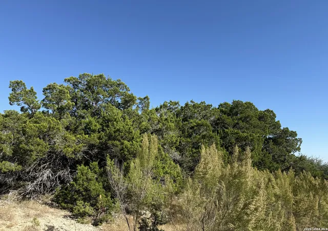 Photo 3 of Land for sale at Lot 90 Deer Creek, Spring Branch, TX 78070 | MLS# 1955681 | Listing updated on 2026-04-18