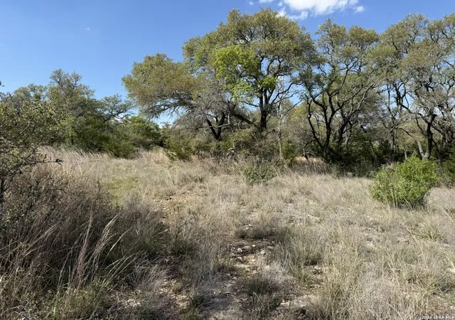 3rd image of L28 Lipan Apache Run, Blanco, TX 78606 | MLS# 1955724