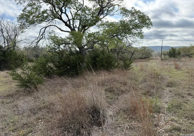 5th image of L28 Lipan Apache Run, Blanco, TX 78606 | MLS# 1955724
