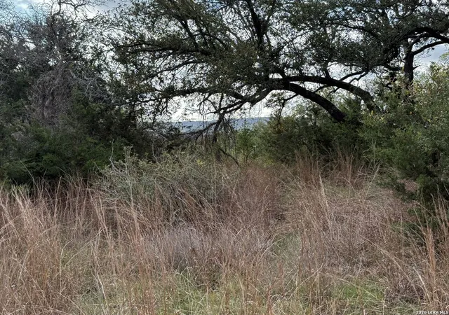 1st image of L28 Lipan Apache Run, Blanco, TX 78606 | MLS# 1955724