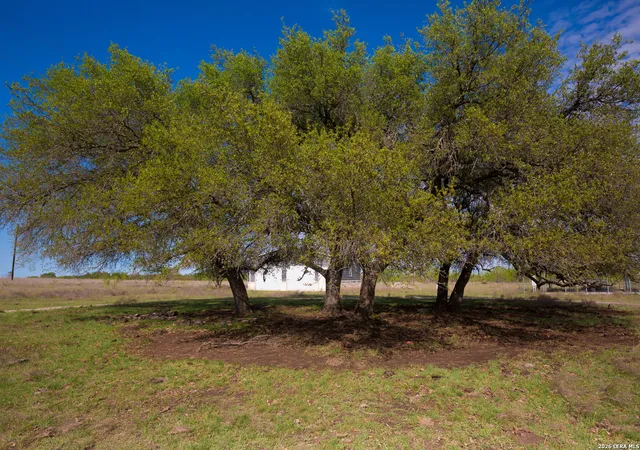 Homes for sale in Lometa, TX | 1843 Savanna Ridge Ranch Rd, Lometa, TX 76853 | MLS# 1955906