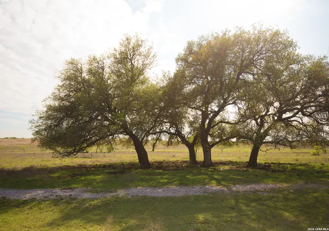 Homes for sale in Lometa, TX | 1843 Savanna Ridge Ranch Rd, Lometa, TX 76853 | MLS# 1955906