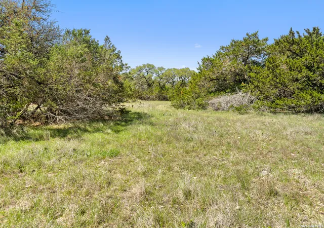 1st image of 1510 Misty Lane, Spring Branch, TX 78070 | MLS# 1955965