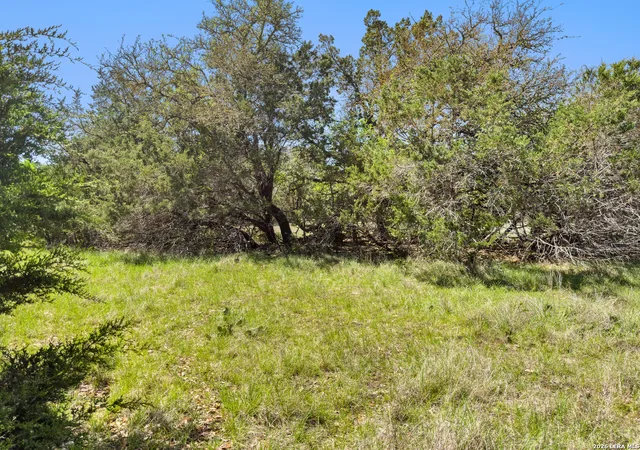 2nd image of 1510 Misty Lane, Spring Branch, TX 78070 | MLS# 1955965