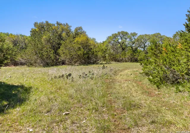 3rd image of 1510 Misty Lane, Spring Branch, TX 78070 | MLS# 1955965