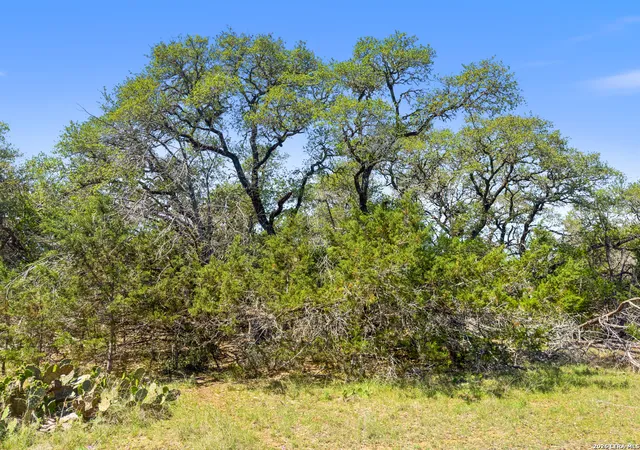 1st image of 1530 Misty Lane, Spring Branch, TX 78070 | MLS# 1955967