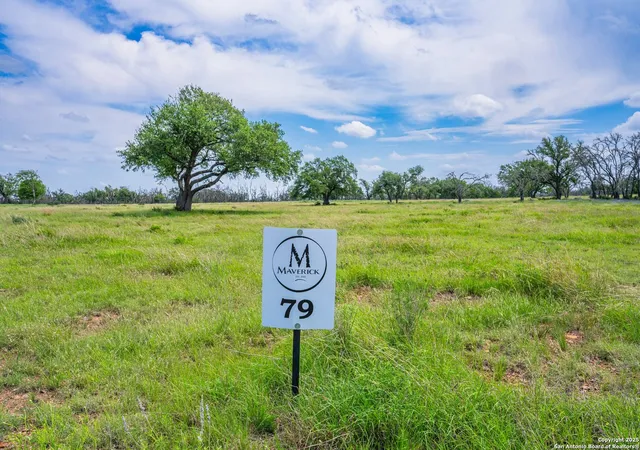 Homes for sale in Harper, TX | Lot 79 Stock Pond Dr, Harper, TX 78631 | MLS# 1956222