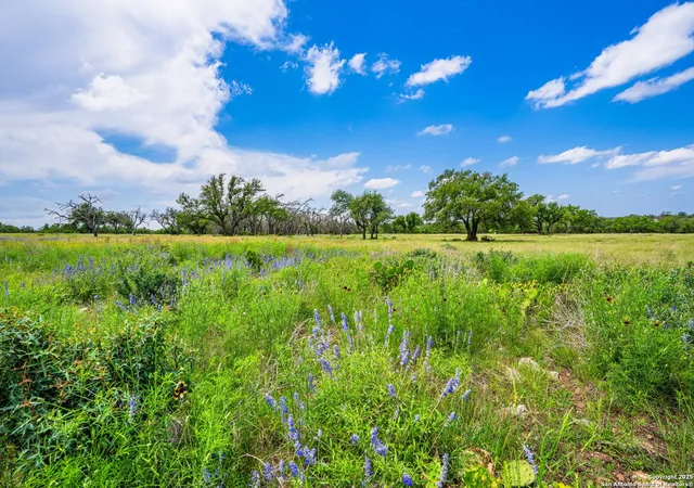 Homes for sale in Harper, TX | Lot 79 Stock Pond Dr, Harper, TX 78631 | MLS# 1956222