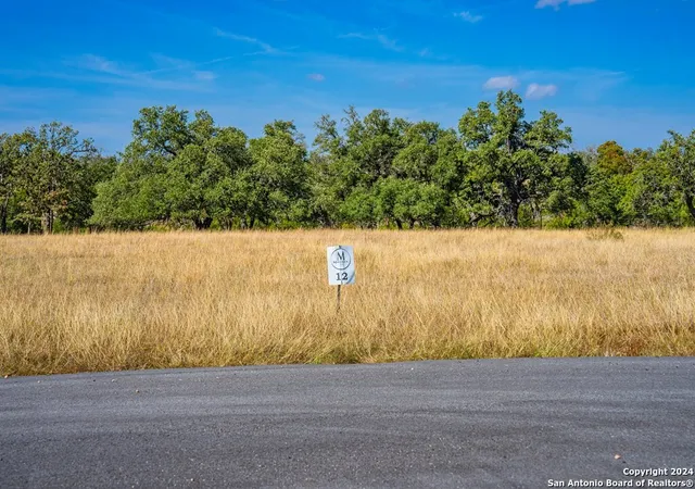 Homes for sale in Harper, TX | Lot 12 Turn Out Lane, Harper, TX 78631 | MLS# 1956224