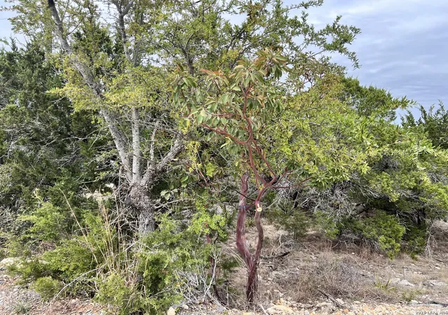 Photo 4 of Sale Pending at 507 Lexington Pass, Canyon Lake, TX 78133 | MLS# 1956351 | Listing updated on 2026-04-14
