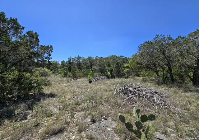 3rd image of 102 County Road 2732, Mico, TX 78056 | MLS# 1956579