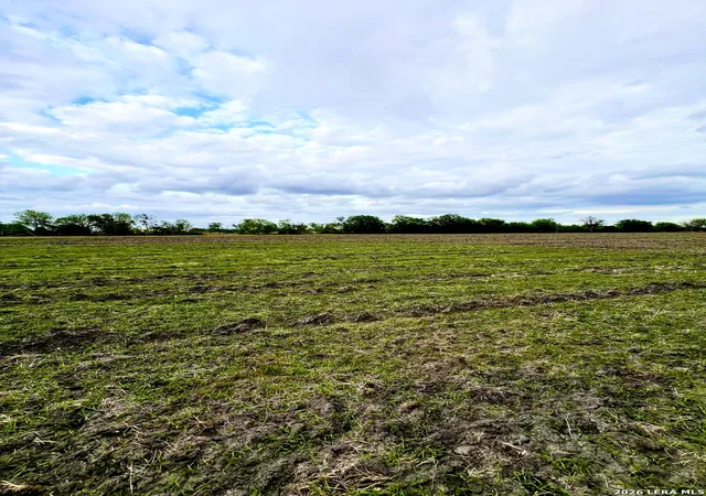 1st image of 3171 Lower Seguin, Marion, TX 78124 | MLS# 1957342