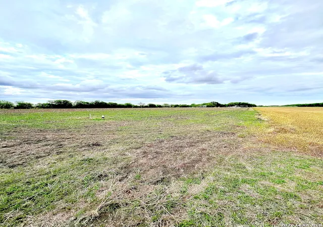 4th image of 3171 Lower Seguin, Marion, TX 78124 | MLS# 1957342