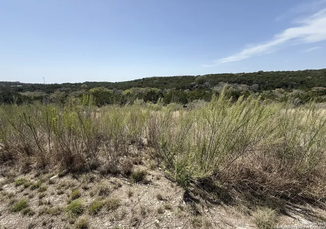 5th image of Pr 2775, Mico, TX 78056 | MLS# 1957741