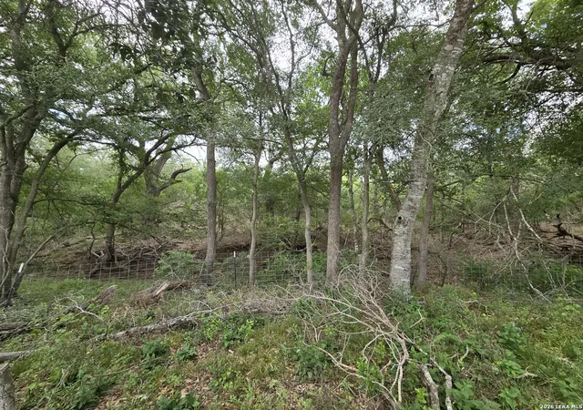 Photo 3 of Single family home for sale at 124 Elm Country Dr, La Vernia, TX 78121 | MLS# 1957754 | Listing updated on 2026-06-20
