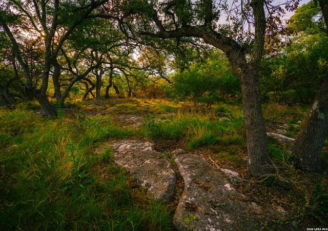 6th image of 000 Elm Lookout, Spring Branch, TX 78070 | MLS# 1957818