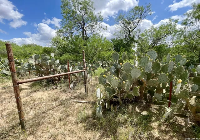 12th image of 2566 Fm 539, La Vernia, TX 78121 | MLS# 1957843