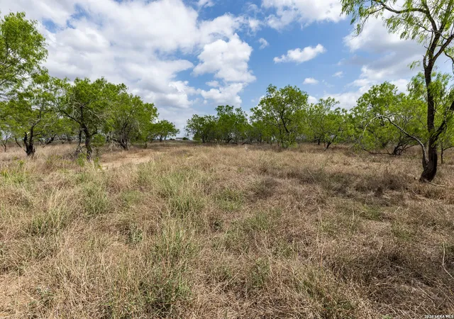 5th image of 247 Western Ln, Leesville, TX 78122 | MLS# 1957850
