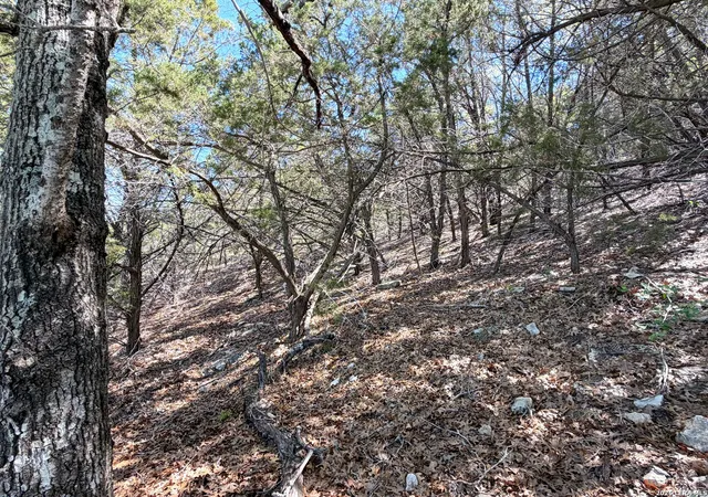 Photo 4 of Sale Pending at 1345 Larson, Canyon Lake, TX 78133 | MLS# 1958154 | Listing updated on 2026-09-01