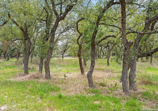 50th image of 8139 Ozark, San Marcos, TX 78666 | MLS# 1958323