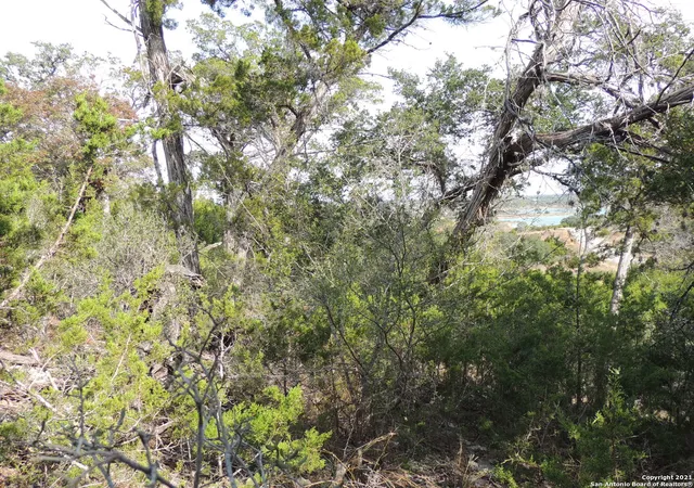 4th image of 1203 Mystic Pkwy, Spring Branch, TX 78070 | MLS# 1958528