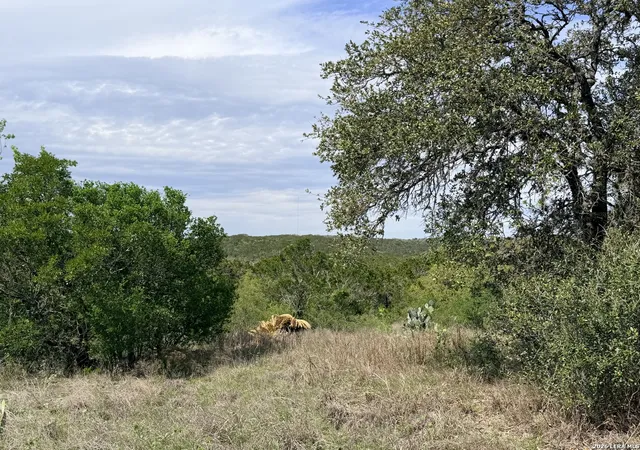 1st image of 686 County Road 2700, Mico, TX 78056 | MLS# 1958730