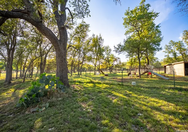 49th image of 2873 Ranch Road 1888, Fredericksburg, TX 78624 | MLS# 1958869