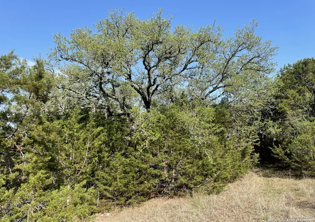 1st image of 1865 Stallion Springs Dr, Fischer, TX 78623 | MLS# 1959021