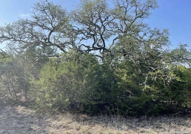 2nd image of 1865 Stallion Springs Dr, Fischer, TX 78623 | MLS# 1959021