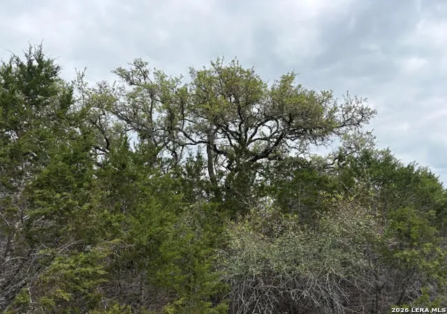 26th image of 1865 Stallion Springs Dr, Fischer, TX 78623 | MLS# 1959021