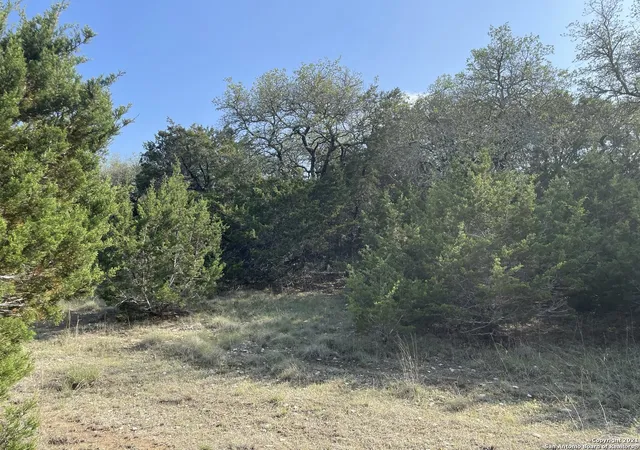 3rd image of 1865 Stallion Springs Dr, Fischer, TX 78623 | MLS# 1959021