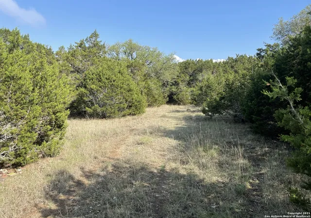 4th image of 1865 Stallion Springs Dr, Fischer, TX 78623 | MLS# 1959021