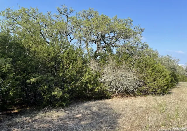 5th image of 1865 Stallion Springs Dr, Fischer, TX 78623 | MLS# 1959021