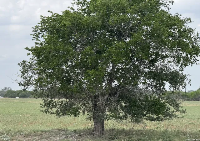 1st image of 00 County Road 405, Floresville, TX 78114 | MLS# 1959597
