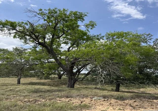5th image of 00 County Road 405, Floresville, TX 78114 | MLS# 1959597