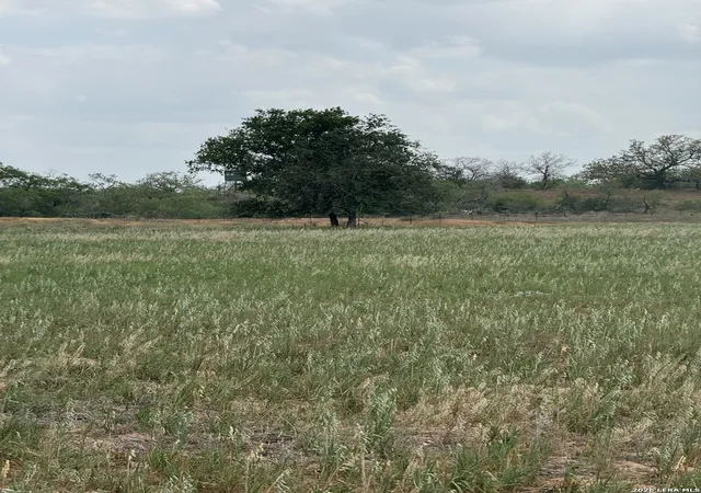 8th image of 00 County Road 405, Floresville, TX 78114 | MLS# 1959597